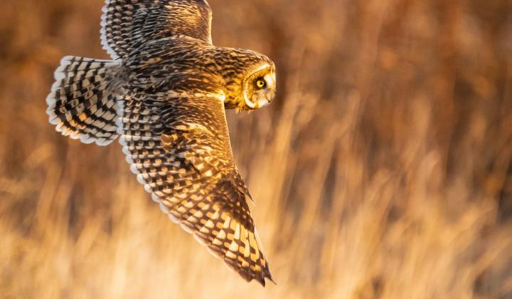 Te damos una cordial bienvenida a nuestra nueva página web